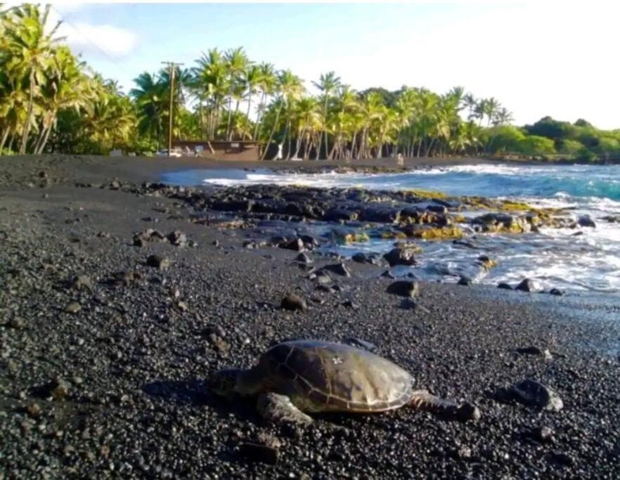 Ferienwohnung Kilauea Iki- Hale Kumu La'Au Volcano Exterior foto
